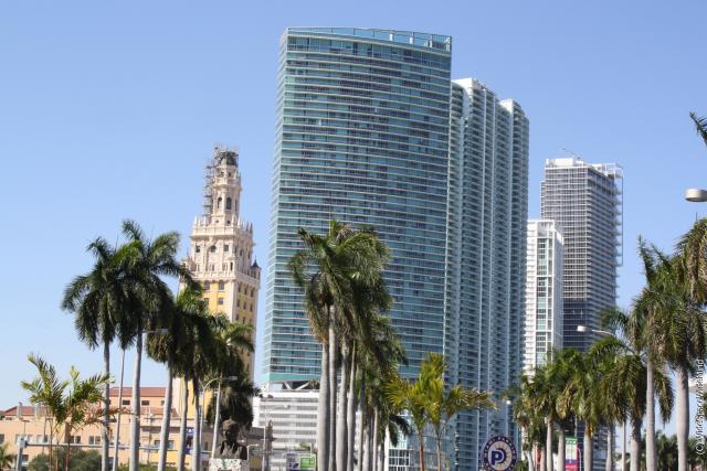 florida15.jpg
