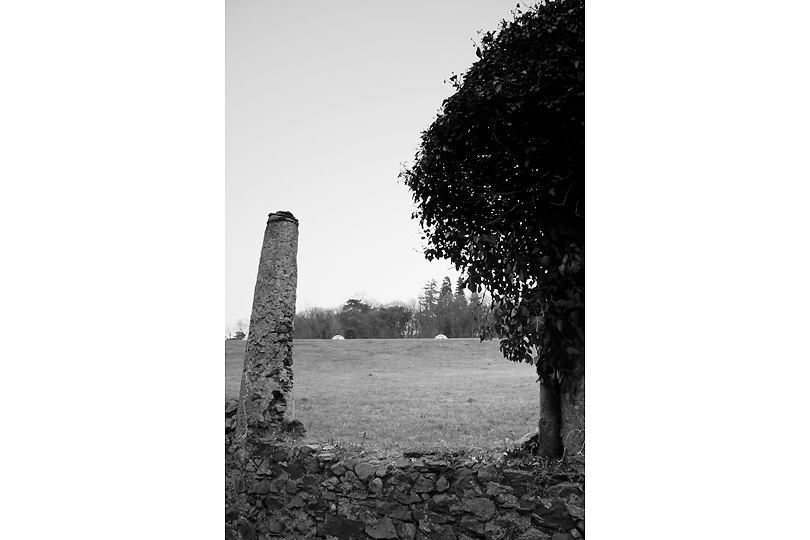 'Talponia'